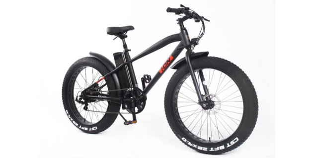Vélo électrique ION Fat 26' - 24V-7.8AH
